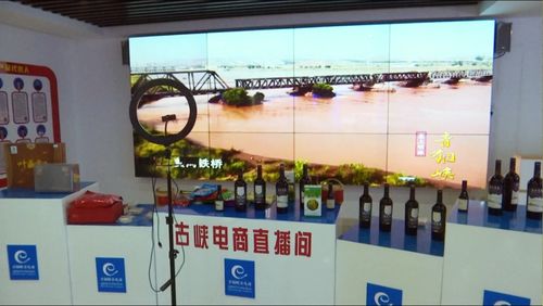 京东集团西北区总部考察青铜峡市电子商务服务，共谋区域数字经济发展新篇章