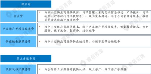 某电商公司战略规划项目案例 塑造新一代电子商务服务生态